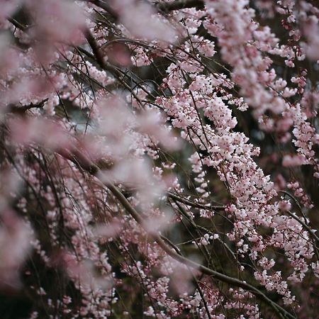 Kyoto Machiyado Shijokarasuma Otel Dış mekan fotoğraf