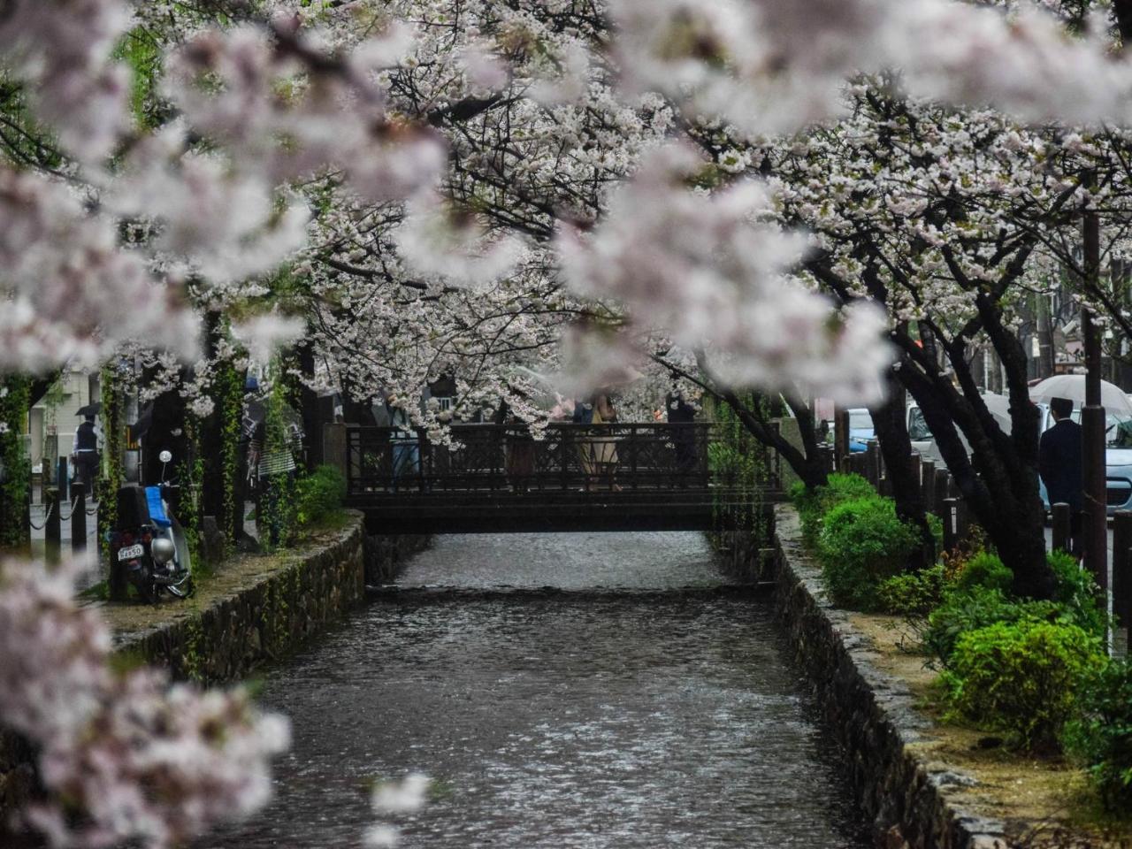 Kyoto Machiyado Shijokarasuma Otel Dış mekan fotoğraf