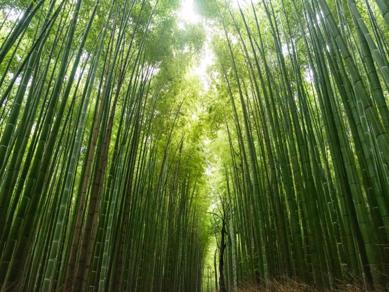 Kyoto Machiyado Shijokarasuma Otel Dış mekan fotoğraf